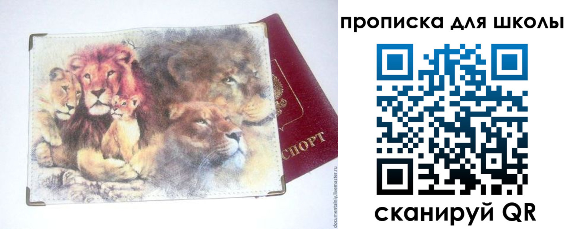 временная регистрация гарантия в Камчатском крае