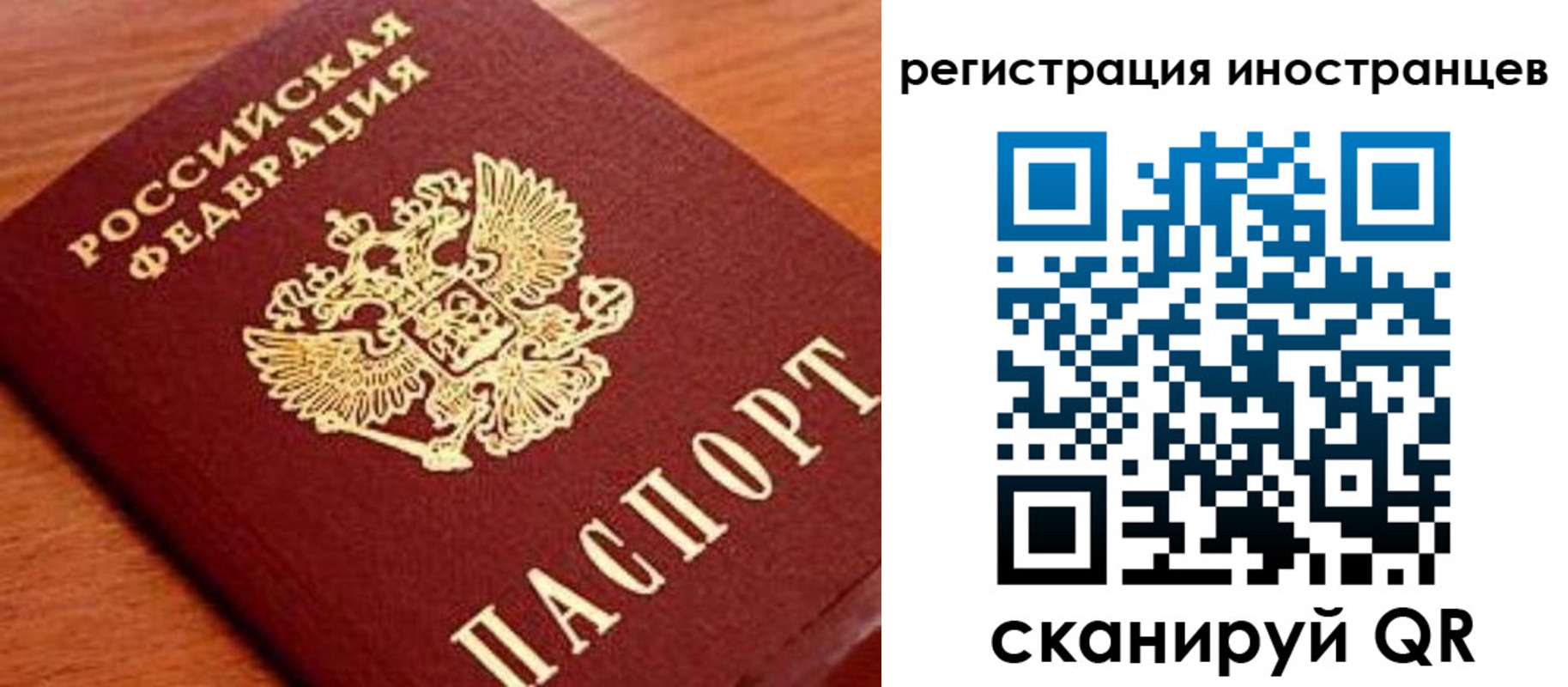 временная регистрация поиск в Камчатском крае